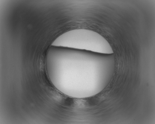 X0000074970226200609011024