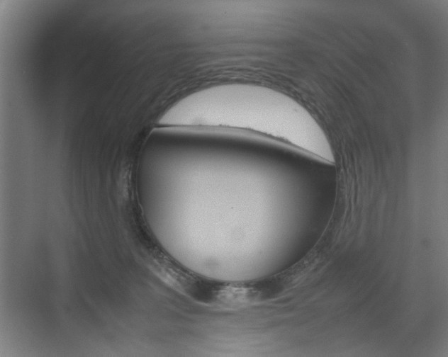 X0000074970227200609011024