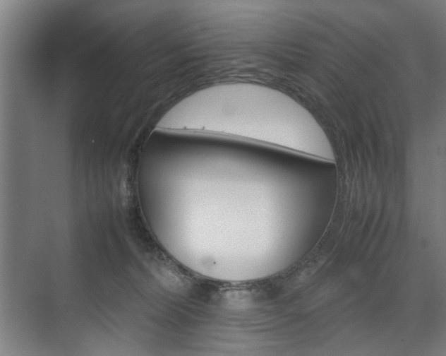 X0000074970228200609011024