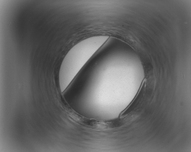 X0000074970229200609011024