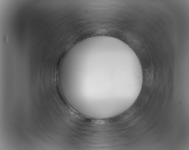 X0000074970230200609011024