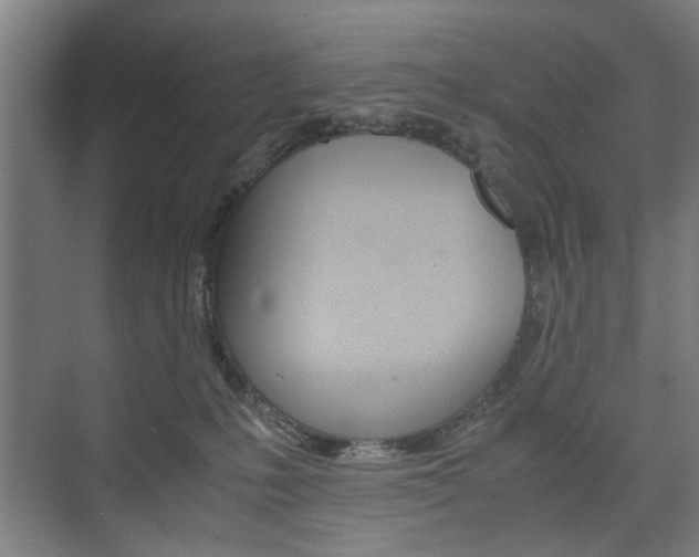 X0000074970231200609011024