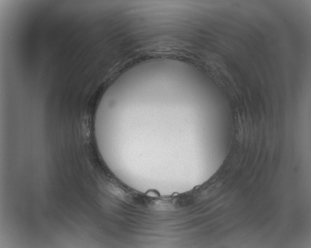 X0000074970232200609011024