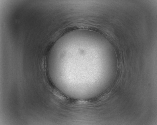 X0000074970233200609011024