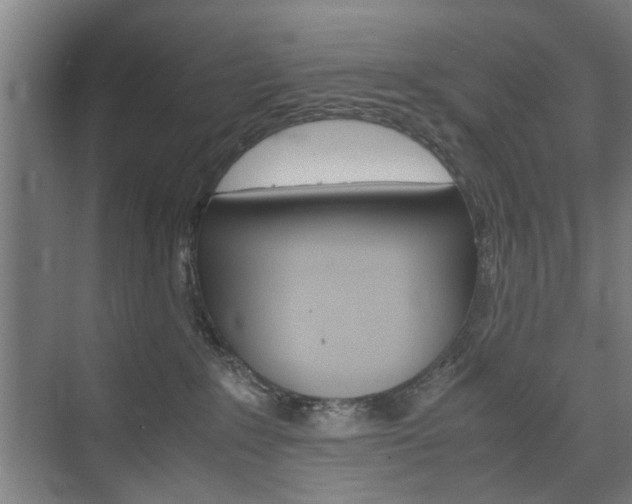 X0000074970235200609011024