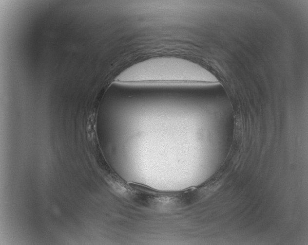 X0000074970237200609011024