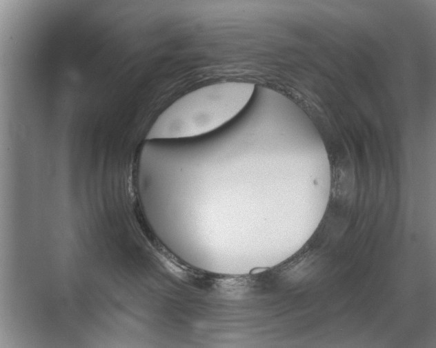 X0000074970238200609011024