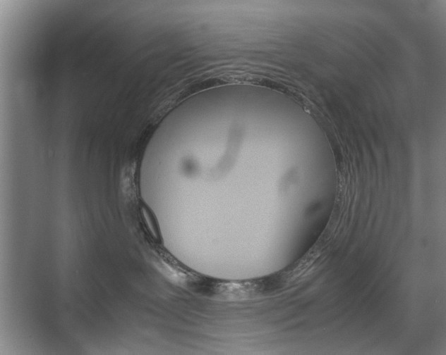 X0000074970239200609011024