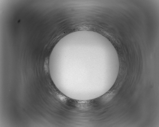 X0000074970240200609011024