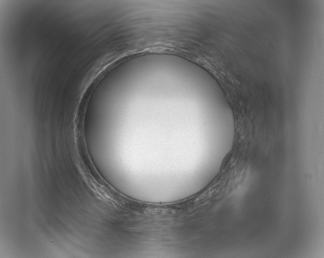 X0000074970242200609011023