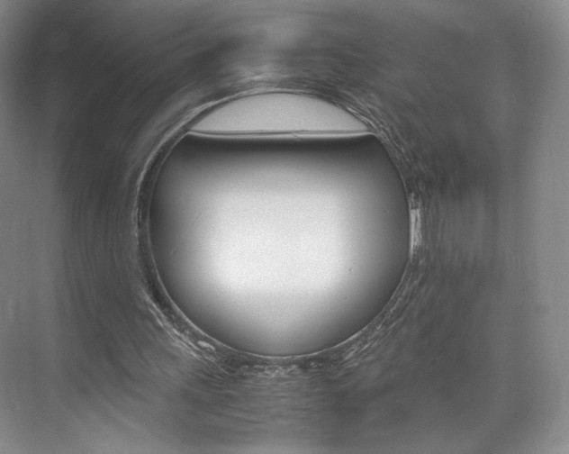 X0000074970243200609011023