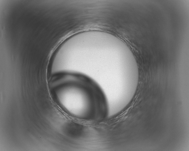 X0000074970244200609011023