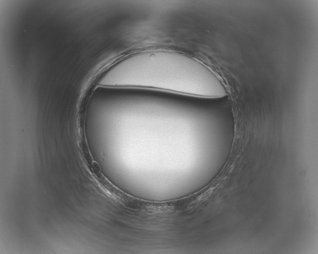 X0000074970245200609011024