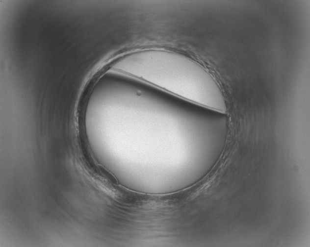 X0000074970246200609011024