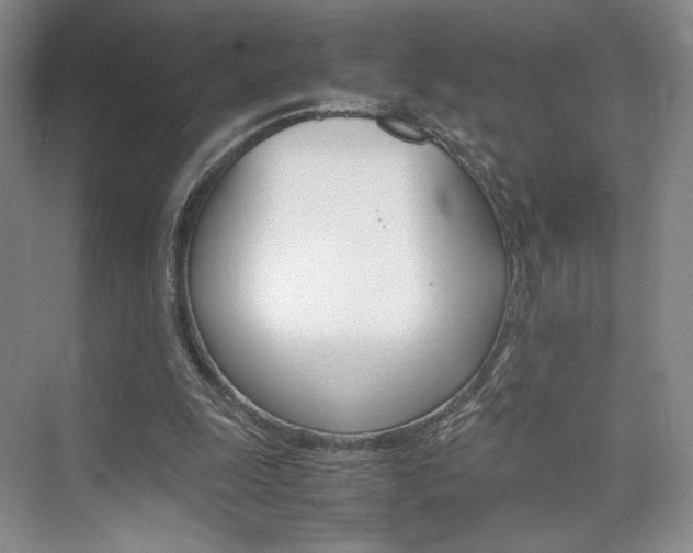 X0000074970247200609011024