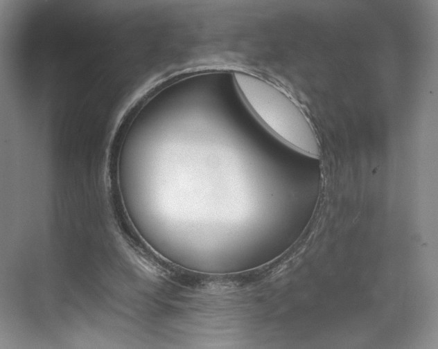 X0000074970248200609011024