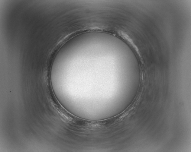 X0000074970249200609011024