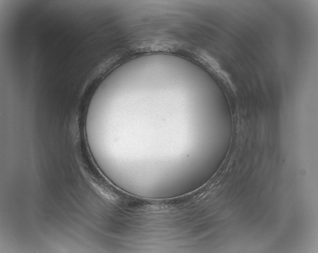 X0000074970250200609011024