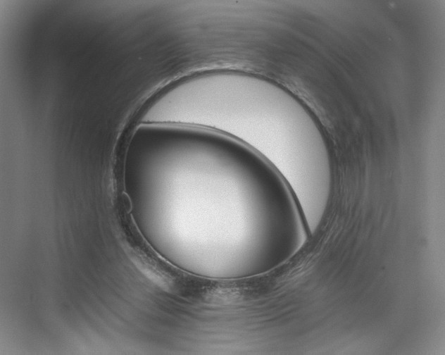 X0000074970252200609011024