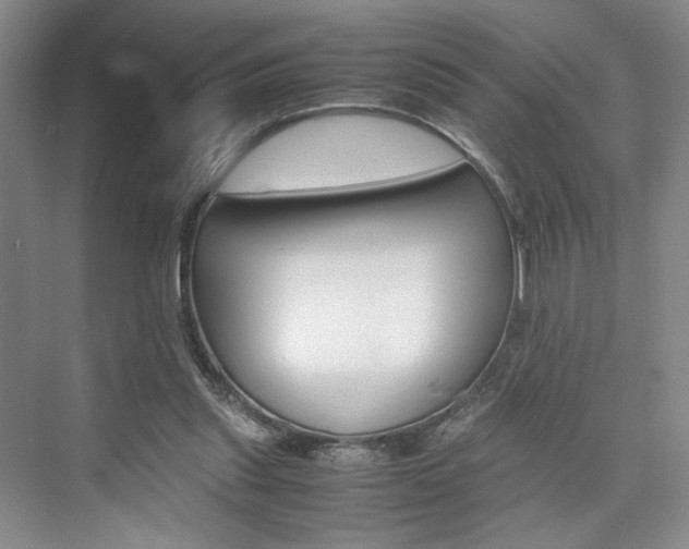 X0000074970253200609011024