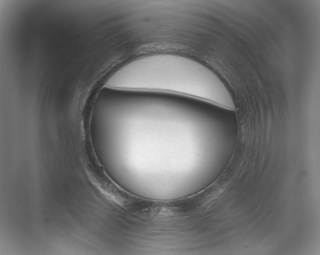 X0000074970254200609011024