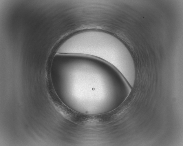 X0000074970256200609011024