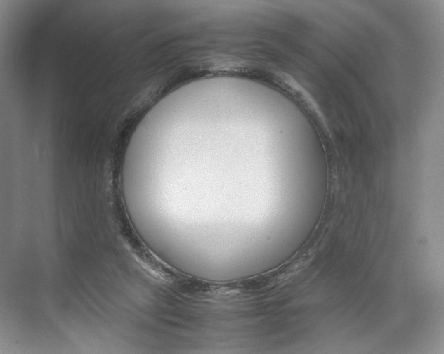 X0000074970257200609011024