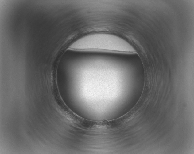 X0000074970260200609011024