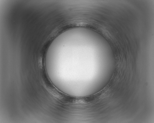 X0000074970262200609011024