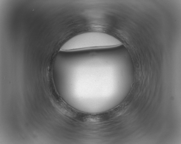 X0000074970263200609011024