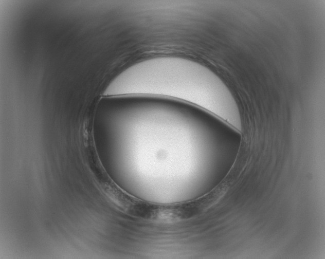 X0000074970264200609011024