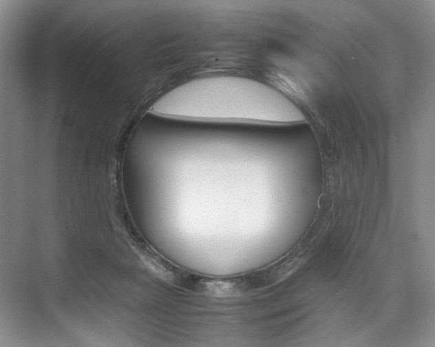 X0000074970265200609011024