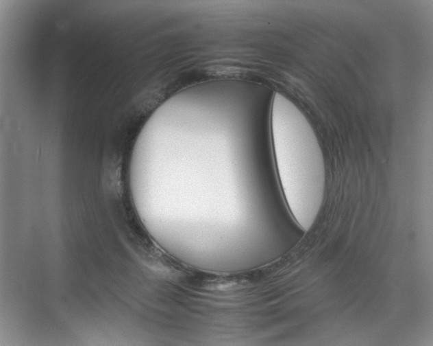 X0000074970267200609011024