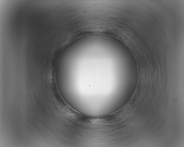 X0000074970268200609011024