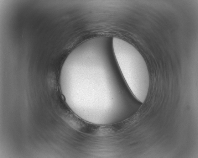 X0000074970270200609011024