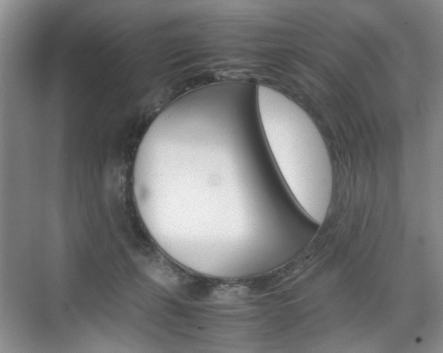 X0000074970271200609011024