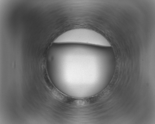 X0000074970272200609011024