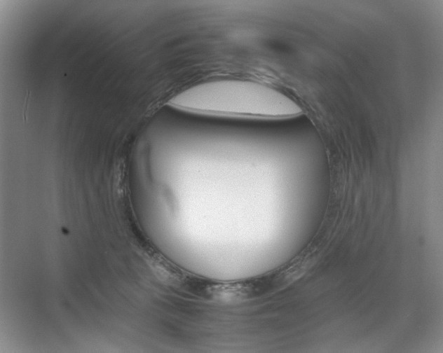 X0000074970273200609011024