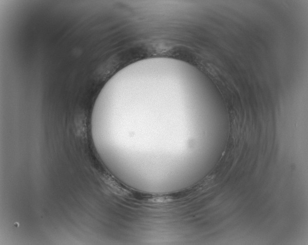 X0000074970274200609011024