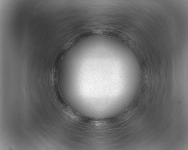 X0000074970275200609011024