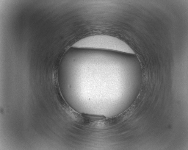 X0000074970276200609011024