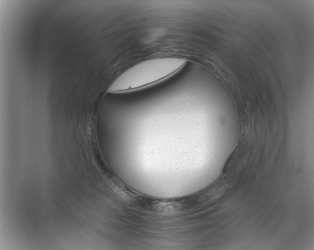 X0000074970277200609011024