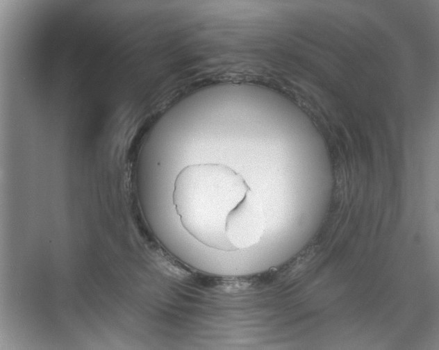 X0000074970278200609011024