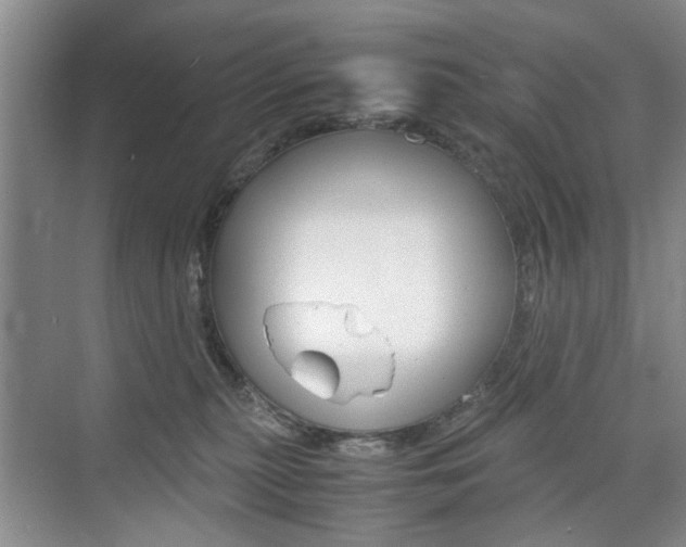 X0000074970279200609011024