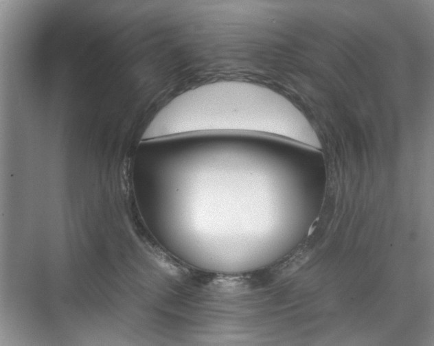 X0000074970280200609011024