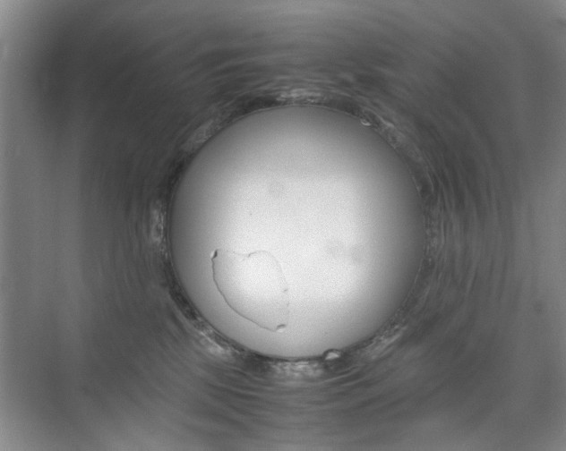 X0000074970281200609011024