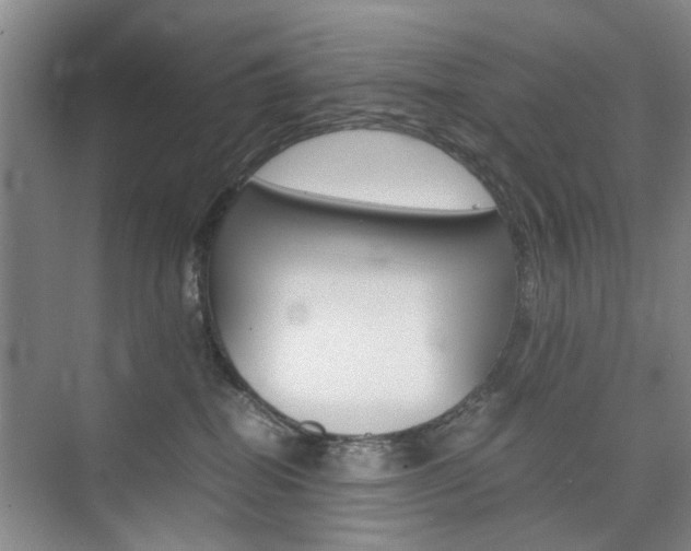 X0000074970282200609011024