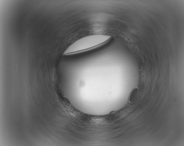 X0000074970283200609011024