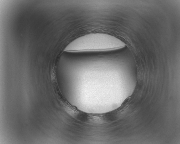 X0000074970285200609011024