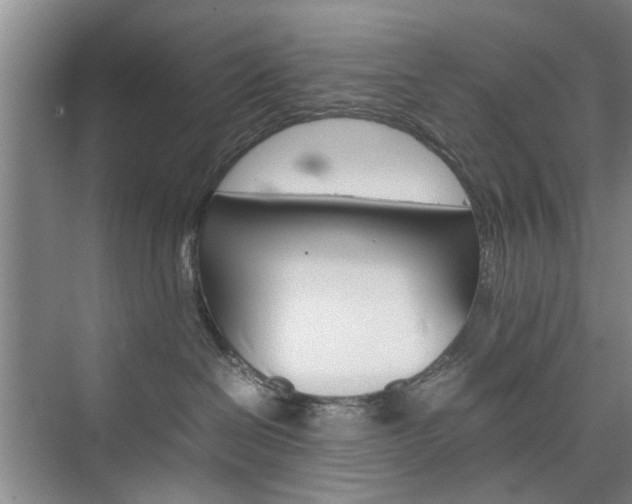 X0000074970286200609011024